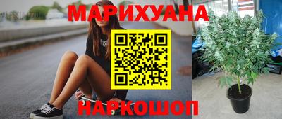 эйфоретик Краснодар